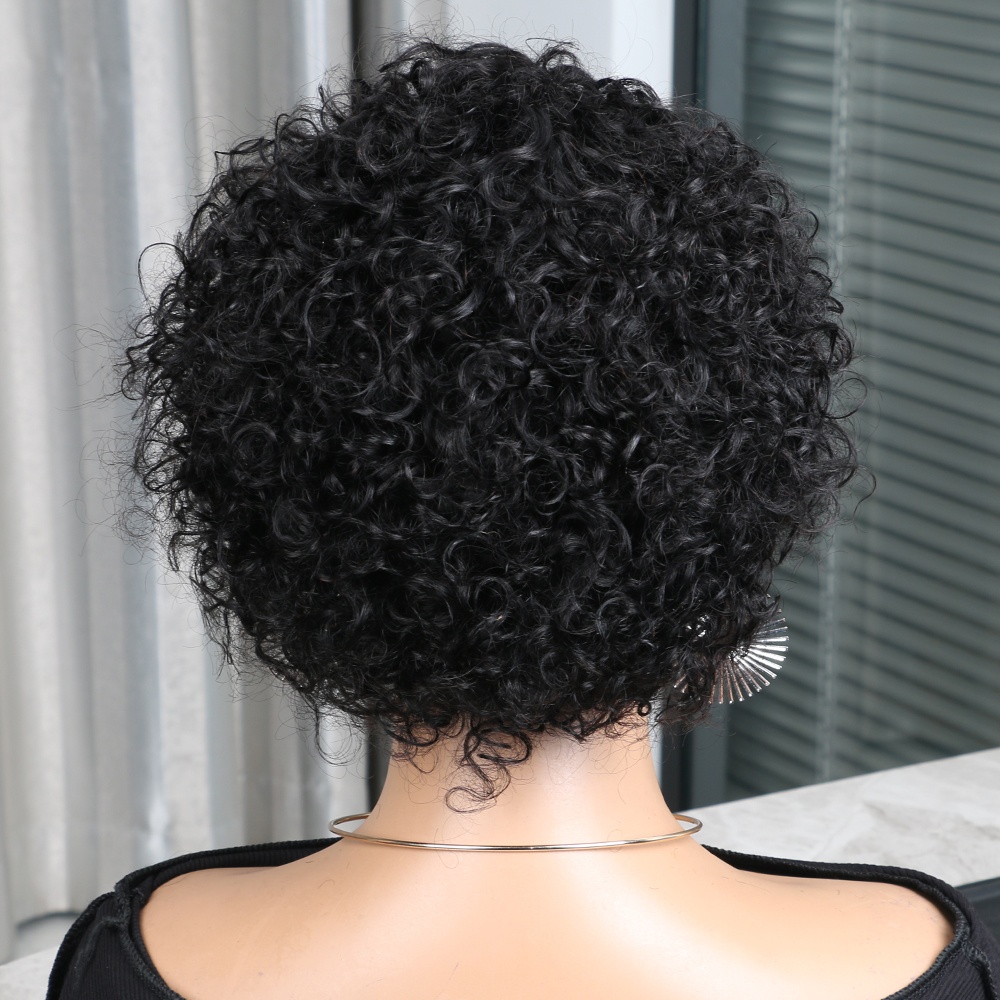 วิกผมทรงพิกซี่คัท ผมแท้ วิกผมห - Short Pixie Cut Wig Human Hair Cheap บทวิจารณ์และราคา